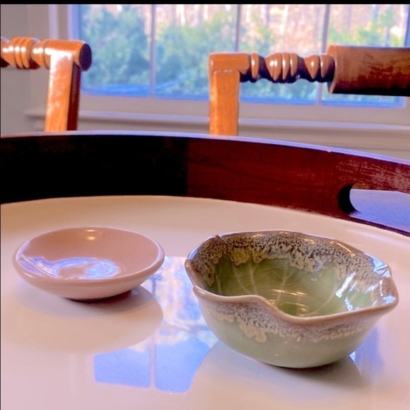 NEW Windowsill SUCCULENT 4" Anthropologie - Picture 2 of 13